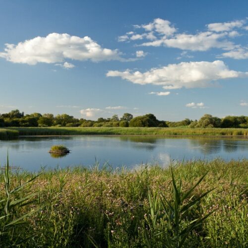 The Wildlife Trusts – Samworth Foundation